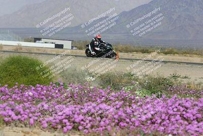 media/Feb-04-2023-SoCal Trackdays (Sat) [[8a776bf2c3]]/Turn 15 Inside Blooming (1050am)/